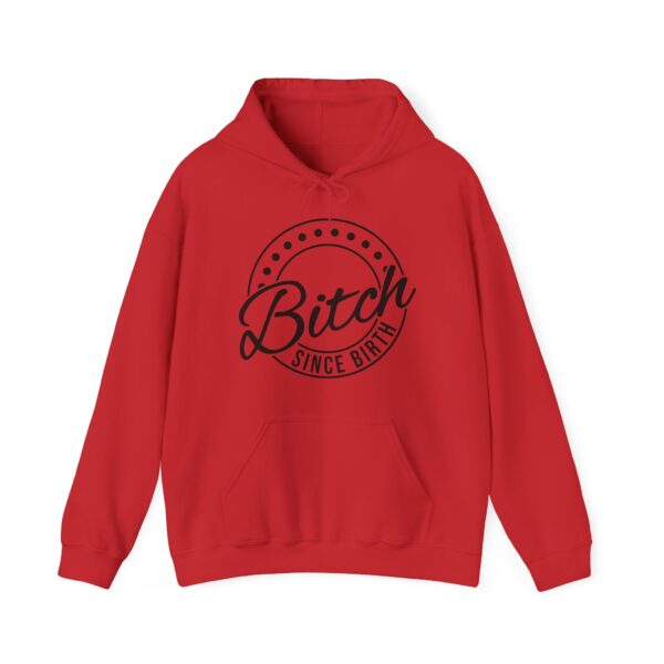 Bitch Since Birth Hooded Sweatshirt