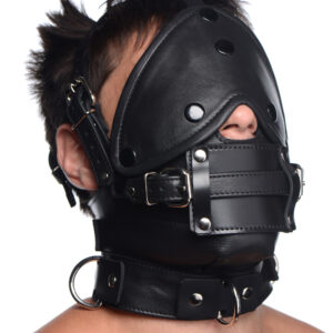 Leather Head Harness with Removeable Gag